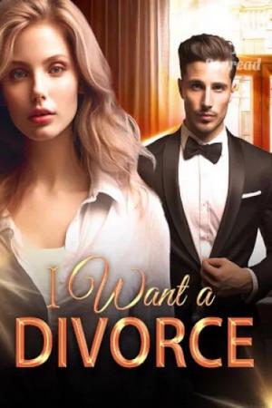 I Want a Divorce by Nadia Gordon