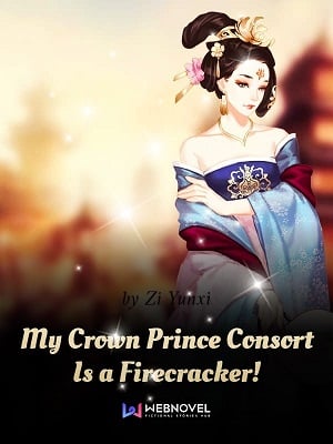 My Crown Prince Consort Is a Firecracker!-Novel
