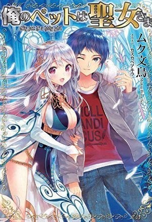 My Pet Is a Holy Maiden-Novel