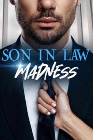 Son In Law Madness novel